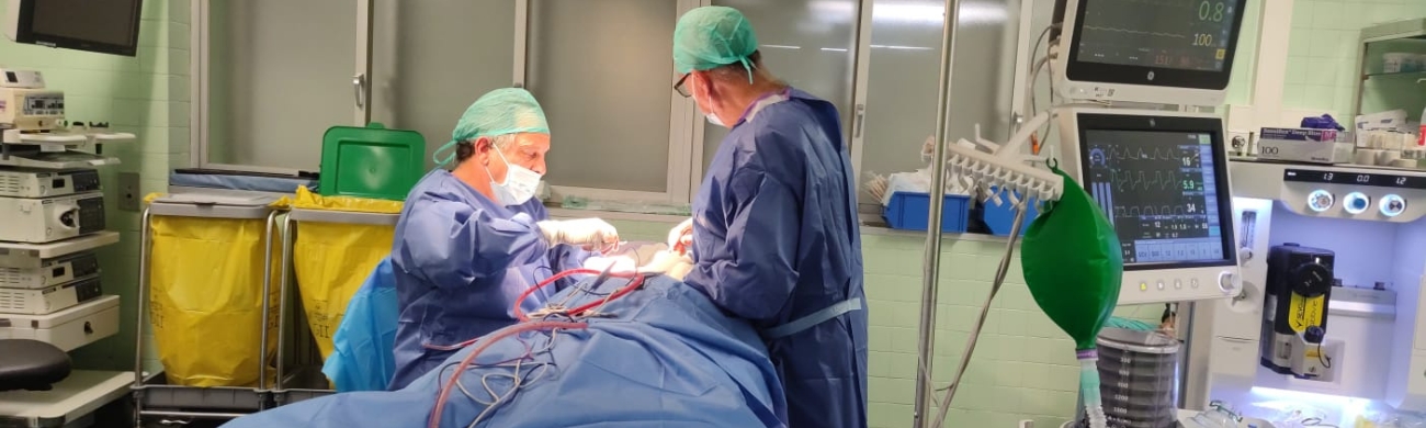 Traumatismo facial Tratamiento de traumatismos faciales en AVR Clínica de Cirugía Maxilofacial