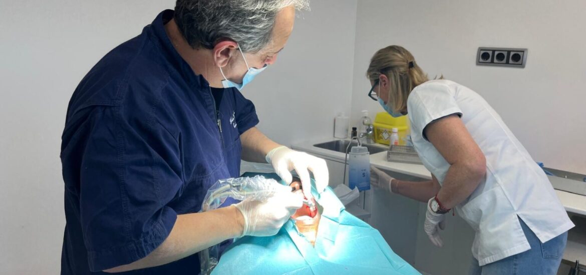 Implantes dentales con prótesis inmediata