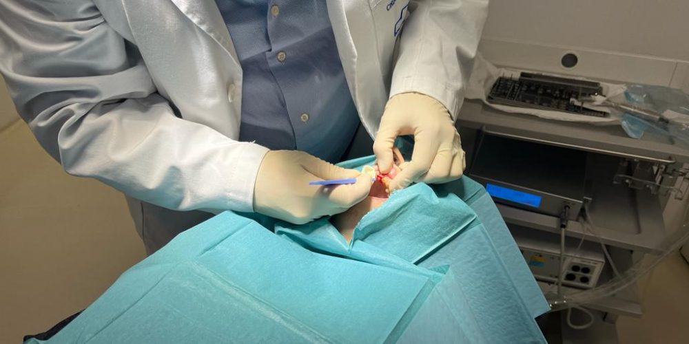 Innovación y experiencia en implantes dentales osteointegrados