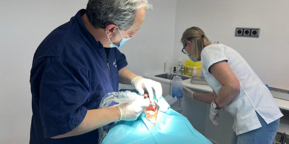 Implantación dental con prótesis inmediata